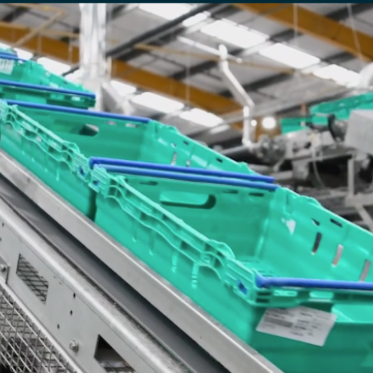 Tray Wash CSP Recruitment